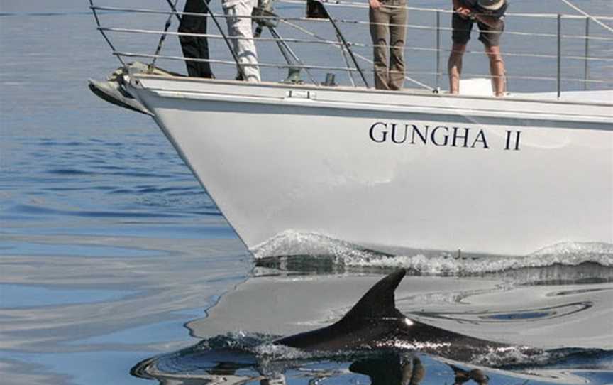 BAY OF ISLANDS SAILING/GUNGHA II, Paihia, New Zealand