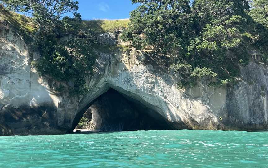 Beyond The Blue , Devonport, New Zealand