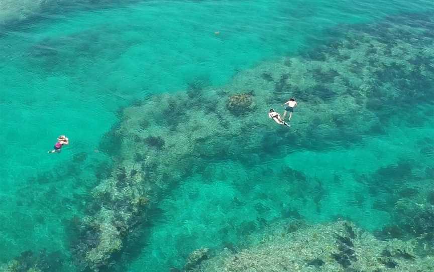 Blue Ocean Charters, Tauranga, New Zealand