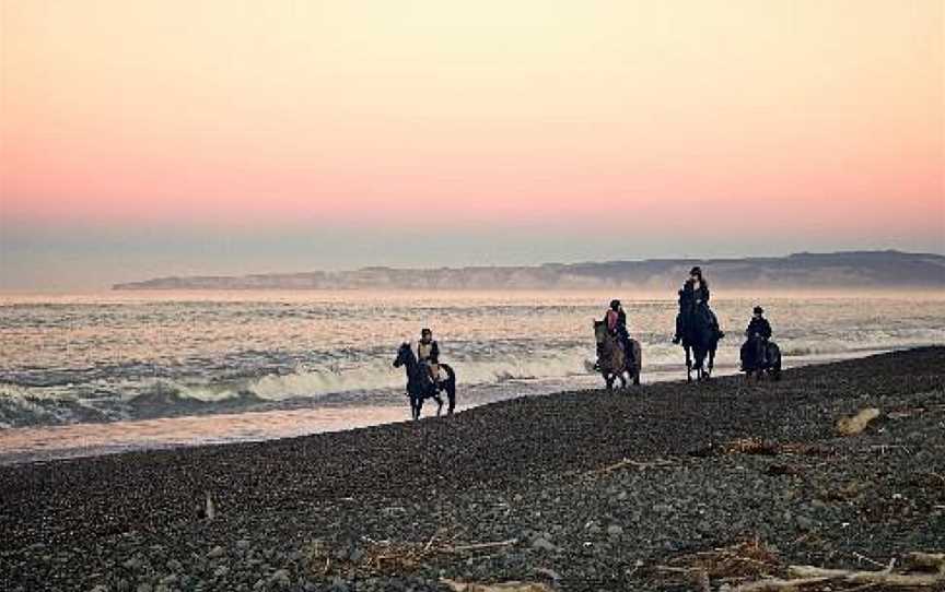 Boutique Horsetreks, Clive, New Zealand