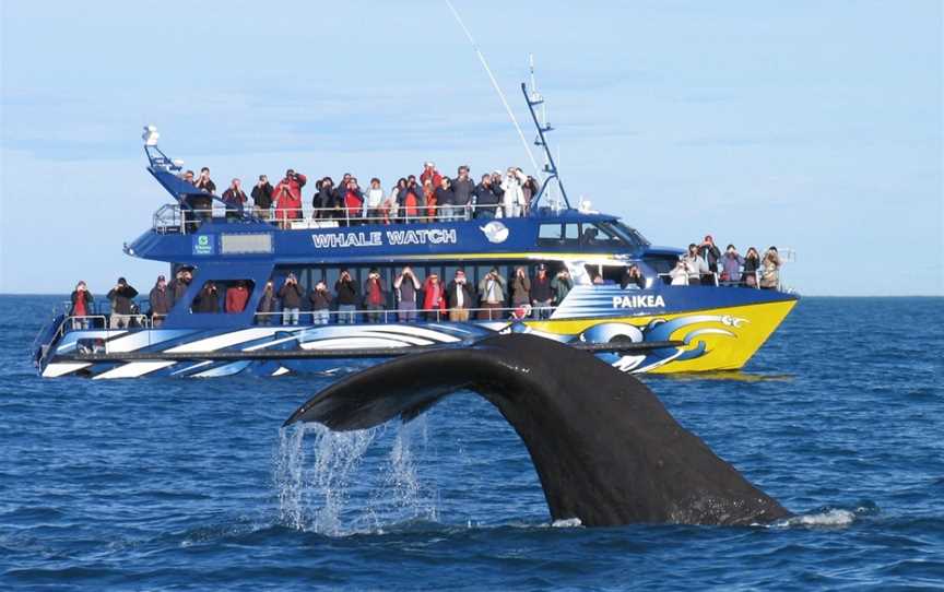 Canterbury Trails - Day Tours, Christchurch, New Zealand