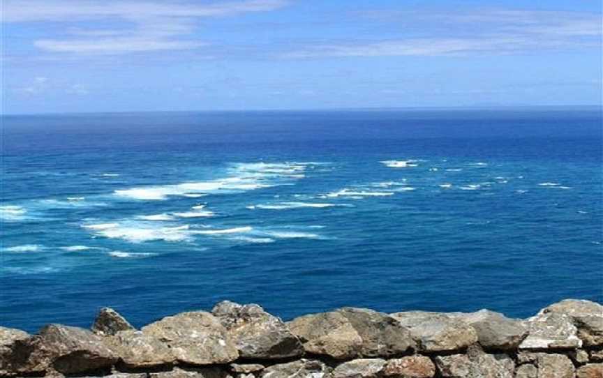 Cape Tours Petricevich, Kaitaia, New Zealand