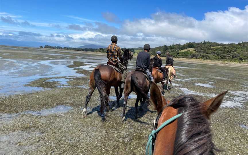 Cape Farewell Horse Treks, Baton, New Zealand