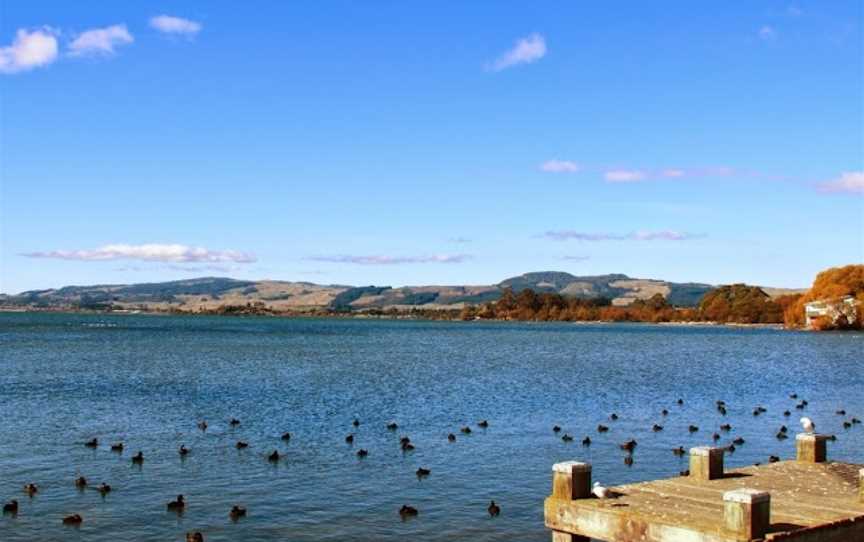 Carlton Tours, Mount Maunganui, New Zealand