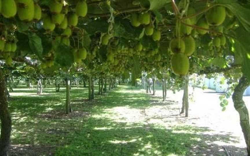 Carlton Tours, Mount Maunganui, New Zealand