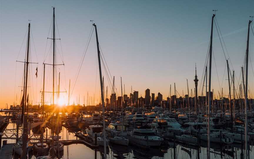 Carnival Charters, Bayswater, New Zealand