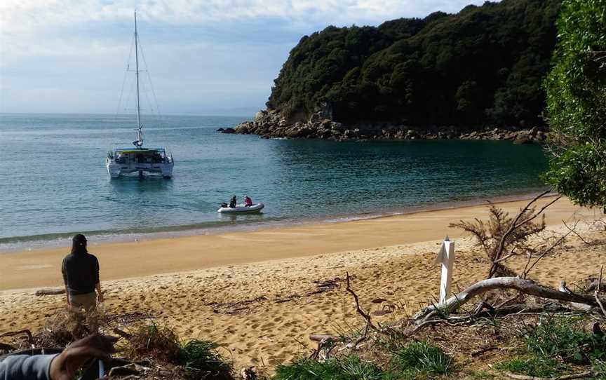 Catamaran Sailing Charters, Stepneyville, New Zealand