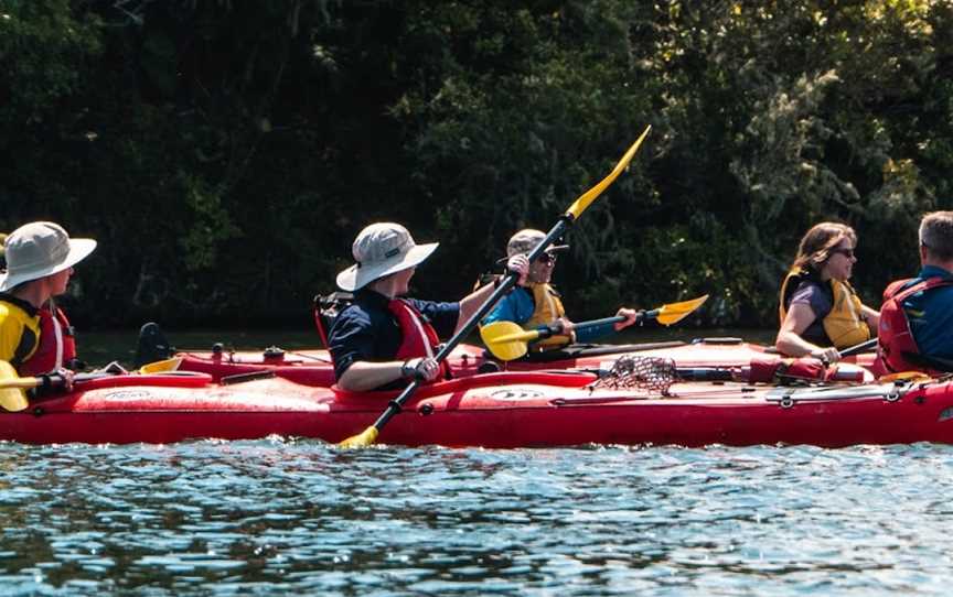 Waimarino Kayak Tours, Tauranga, New Zealand