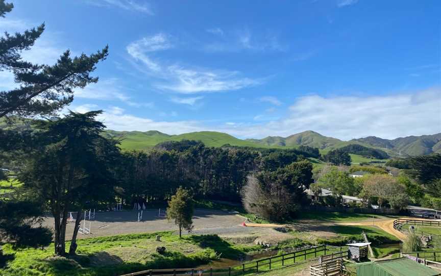 Cleveland Stables, Ohariu, New Zealand