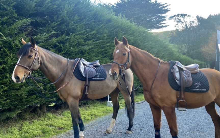 Cleveland Stables, Ohariu, New Zealand