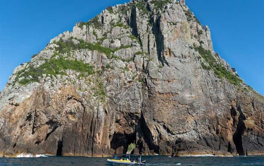 Coromandel Ocean Adventures, Tairua, New Zealand