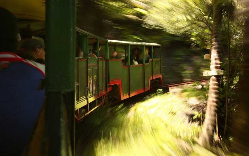 Driving Creek Conservation Tours, Coromandel, New Zealand