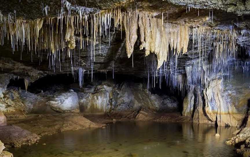 Down to Earth - Waitomo Eco Tours, Waitomo, New Zealand