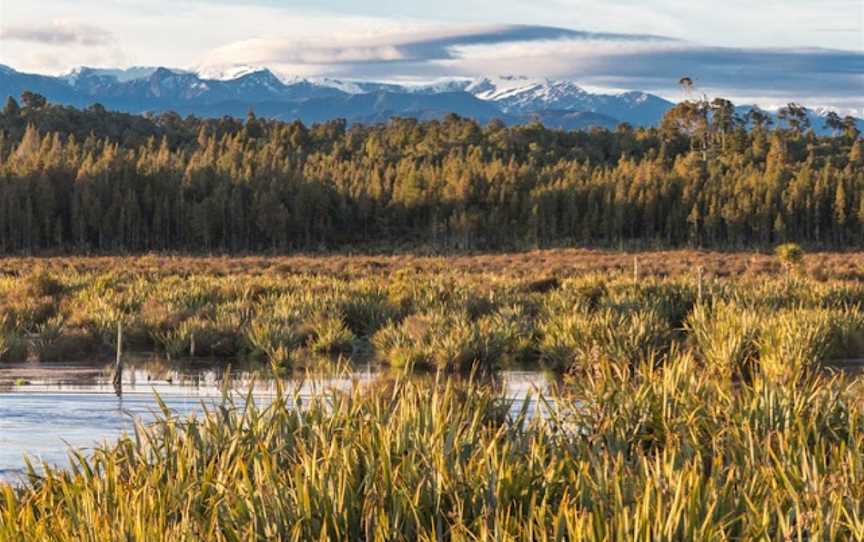 Eco Boat Tour, Fergusons, New Zealand