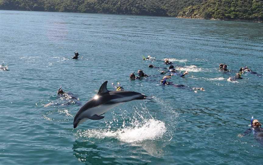 E-Ko Tours, Picton, New Zealand