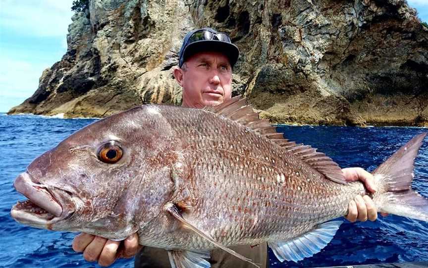 Epic Adventures Fishing Charters, Russell, New Zealand