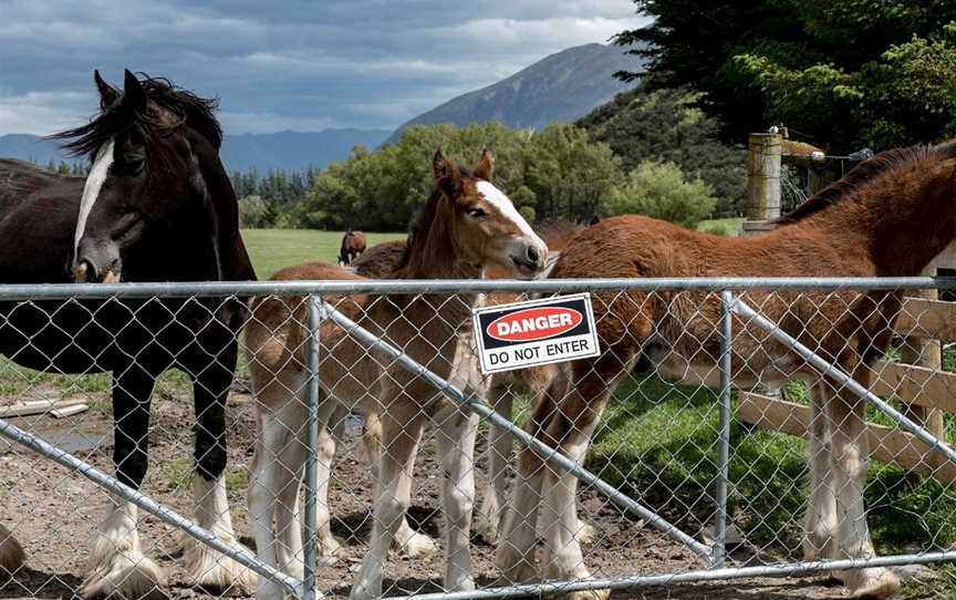 Erewhon Station, Ashburton, New Zealand