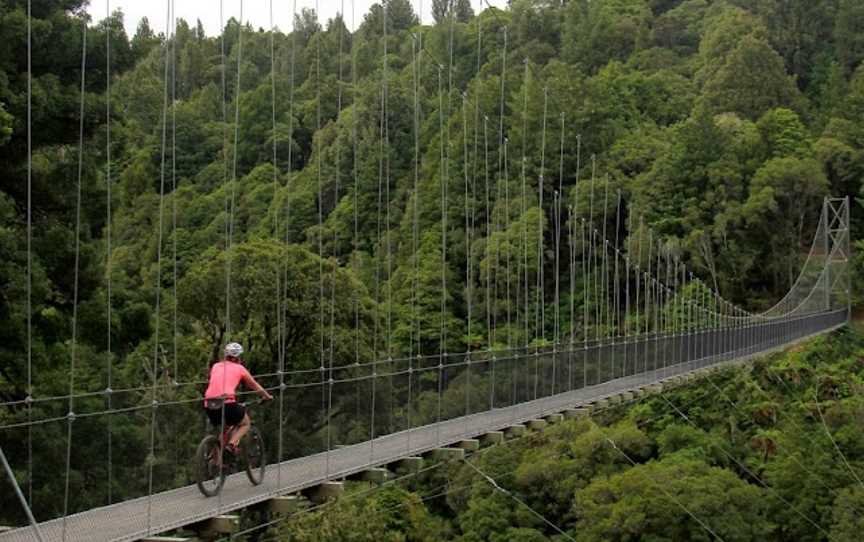 Epic Timber Trail Shuttles & Bike Hire, Ongarue, New Zealand