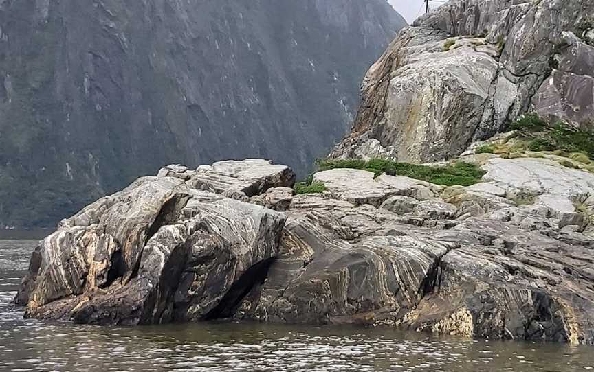 Fiordland Tours, Te Anau, New Zealand