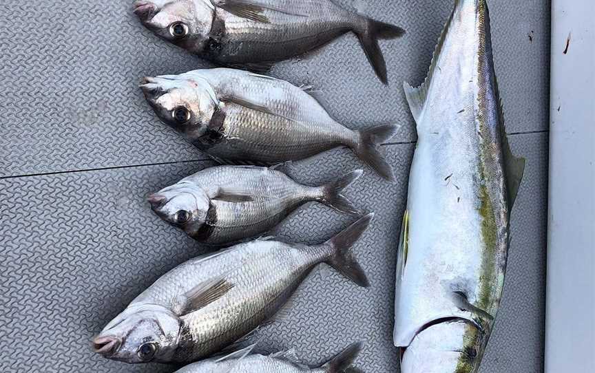 FishOn Charters, Whangamata, New Zealand