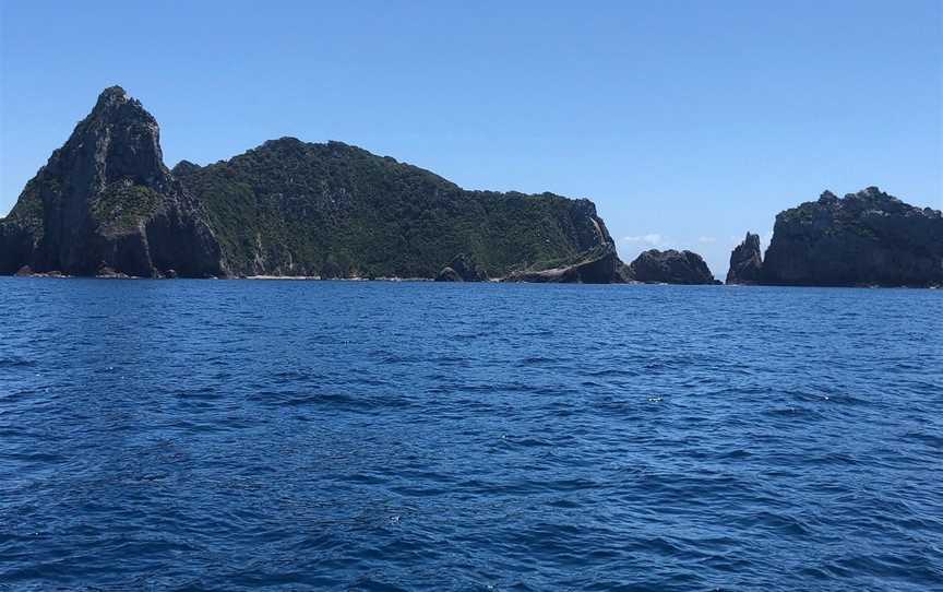 FishOn Charters, Whangamata, New Zealand