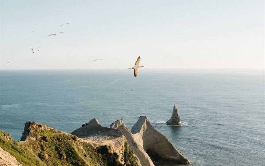 Gannet Safaris Overland, Te Awanga, New Zealand