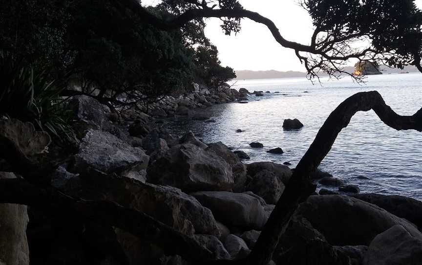 Gemstone Bay, Hahei, New Zealand