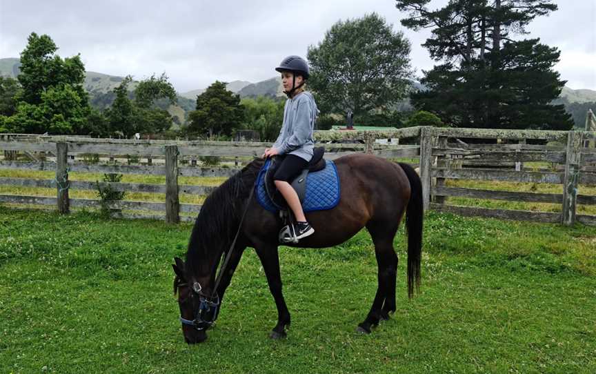 Gladstone horse treks, Flat Point, New Zealand