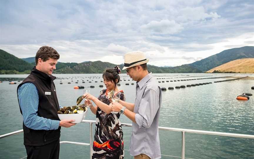 Marlborough Tour Company, Blenheim, New Zealand