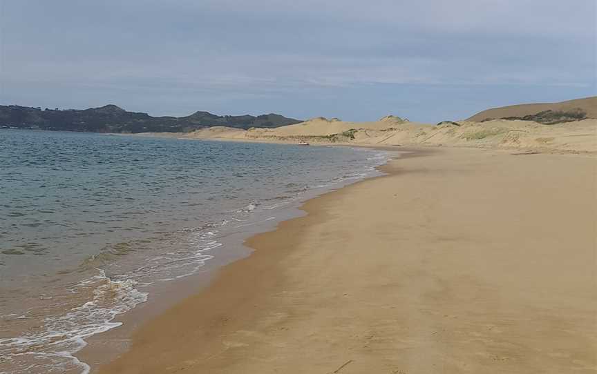 Hokianga Express Charters, Omapere, New Zealand