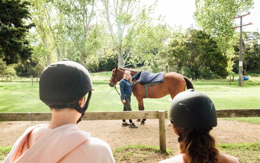 Horse Treks at The Farm, Whangaruru, New Zealand