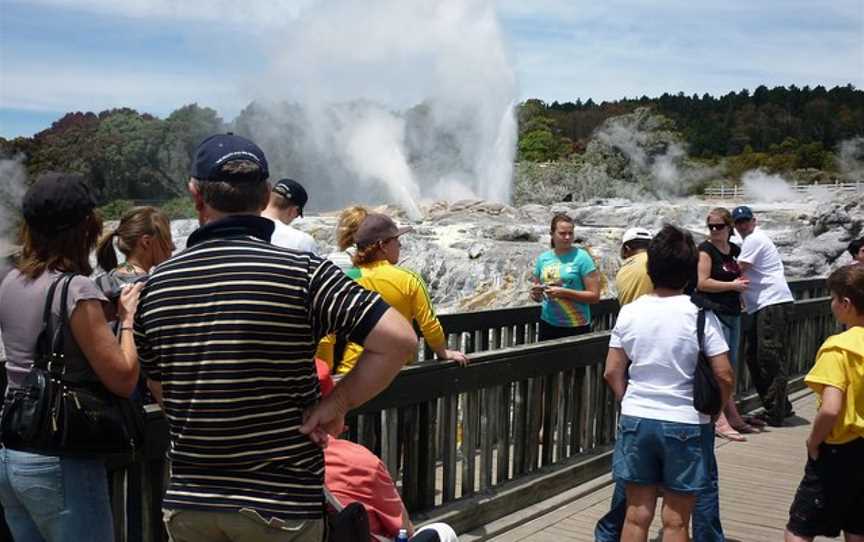 Independent Tours Tauranga, Tauranga, New Zealand