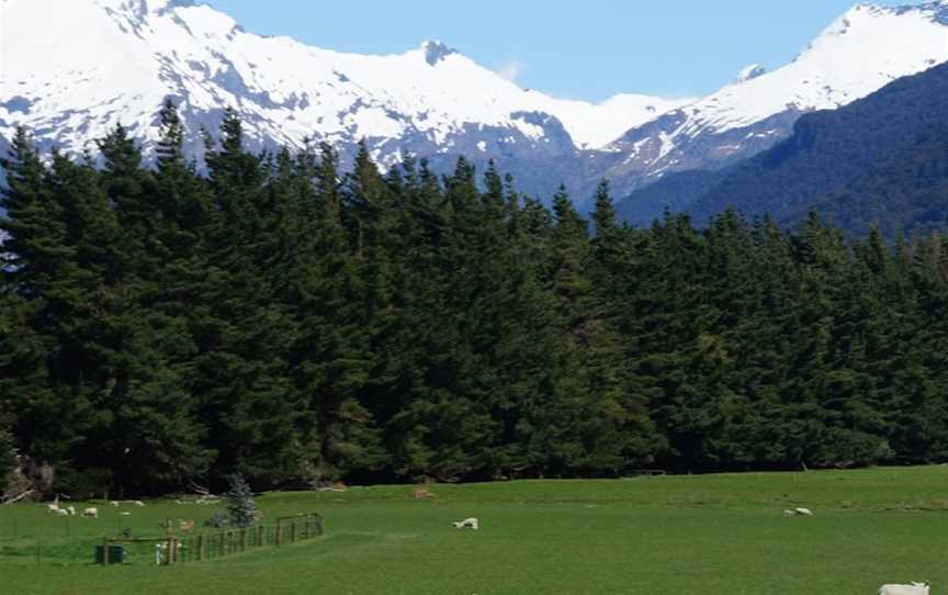 Kakariki AviTours, Point Chevalier, New Zealand