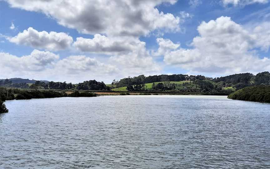 Kaipara Cruise, Helensville, New Zealand