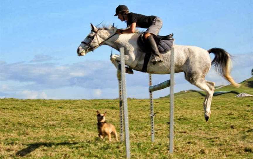 Kates Riding Centre, Kerikeri, New Zealand