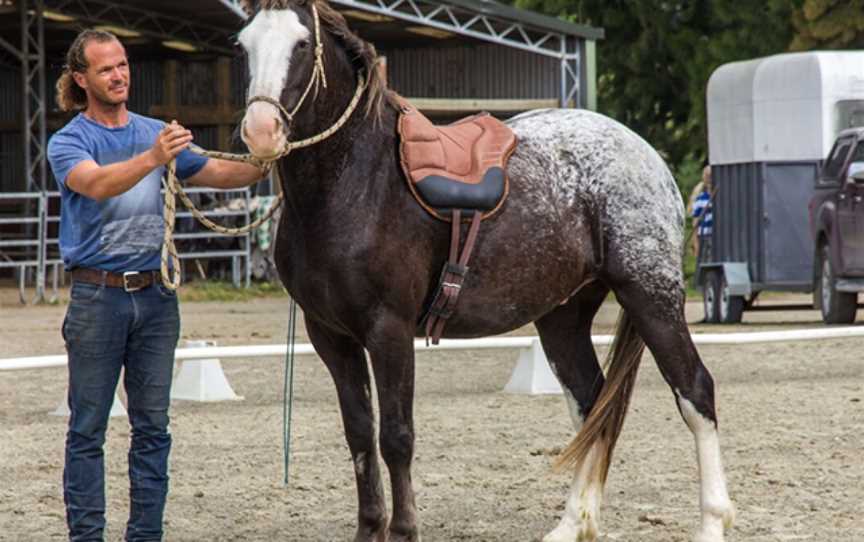 Kates Riding Centre, Kerikeri, New Zealand