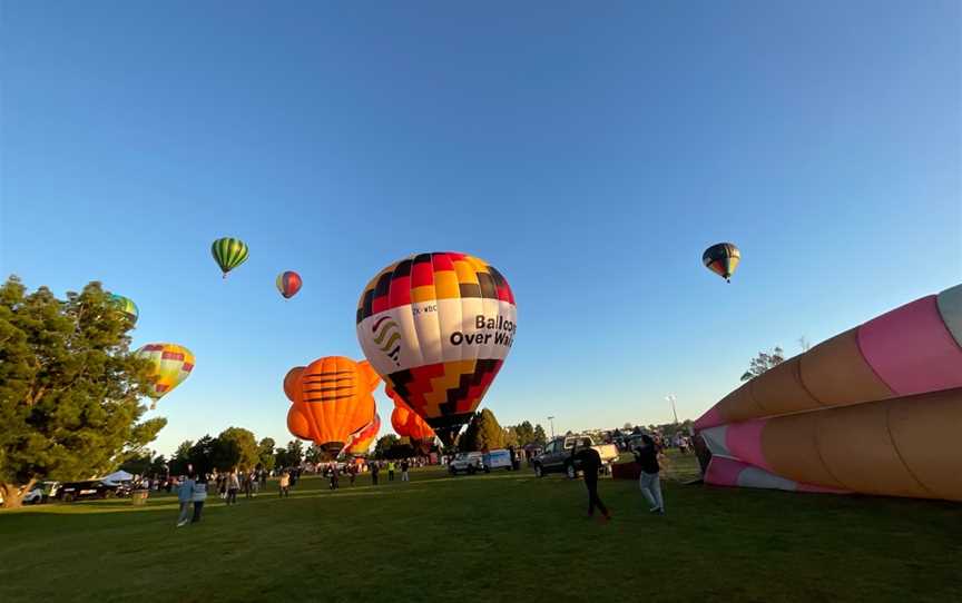 Kiwi Balloon Company, Hamilton Lake, New Zealand