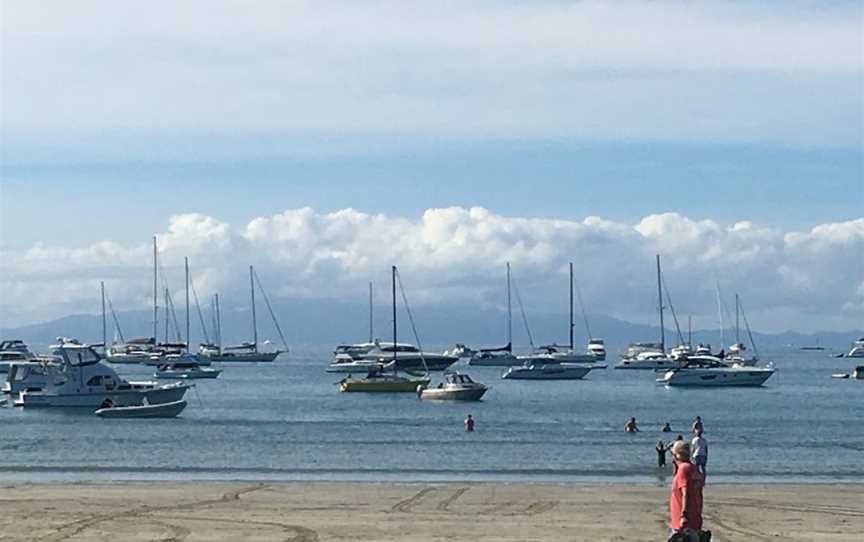 MagicBroomstick (Segway) Tours, Devonport, New Zealand