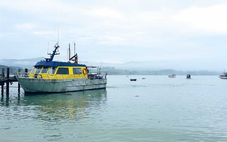 Moeraki Fishing Charters, Moeraki, New Zealand