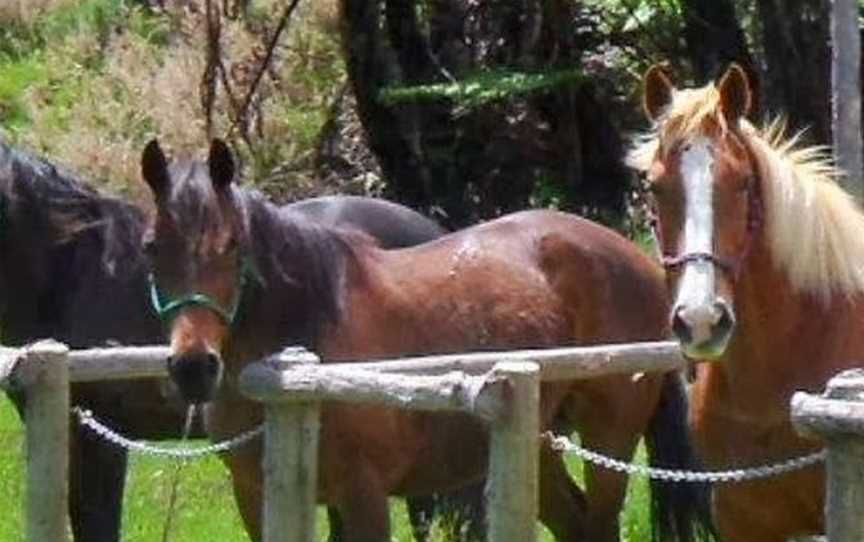 Navarna Adventures, Blue Mountains, New Zealand