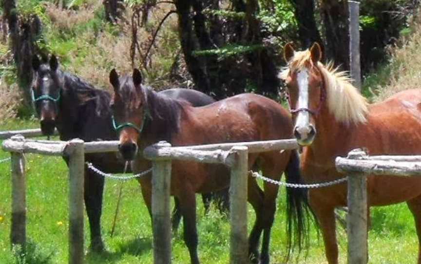 Navarna Adventures, Blue Mountains, New Zealand