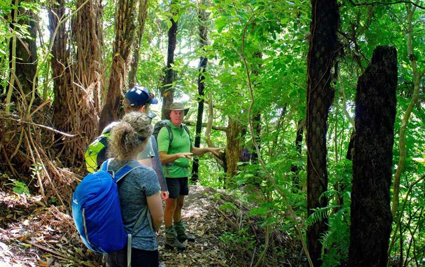 Nature & Nosh Tours, Temple View, New Zealand