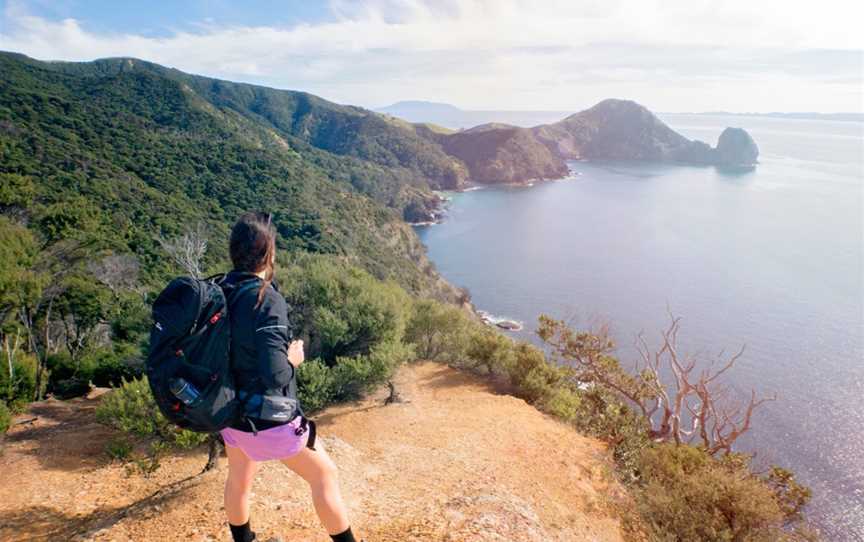 Nature & Nosh Tours, Temple View, New Zealand