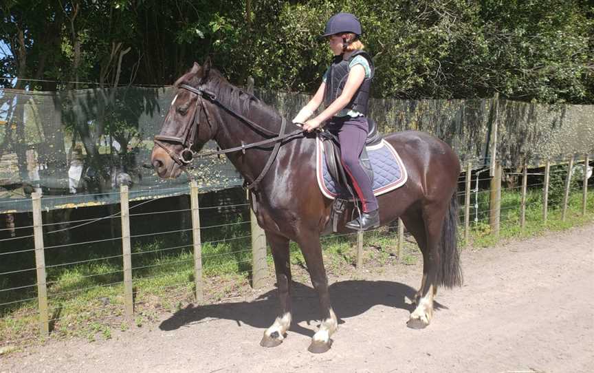 Overdale Riding Centre, Leamington, New Zealand