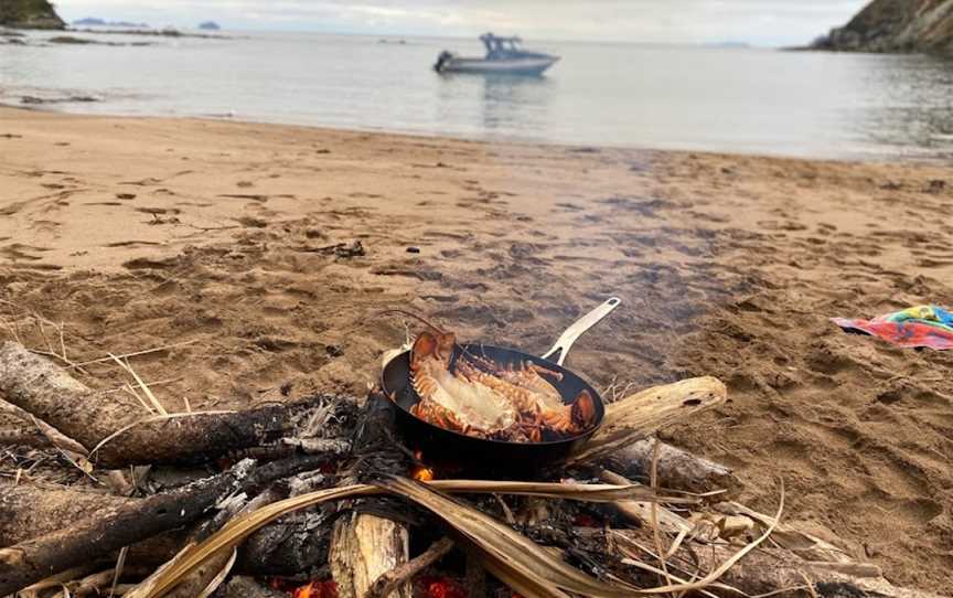 Provider Fishing Charters, Adventures and Retreats, Tairua, Coromandel, New Zealand, Tairua, New Zealand