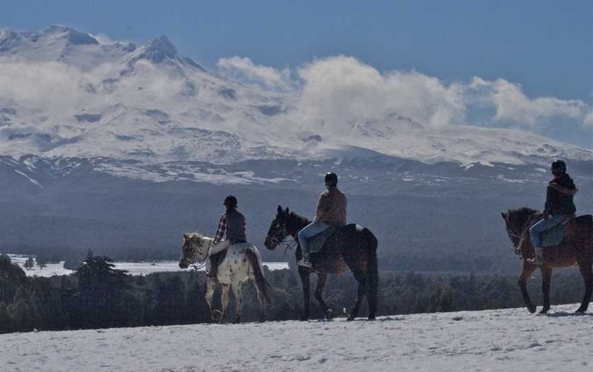 Ruapehu Homestead Horse Treks Ohakune, Ohakune, New Zealand