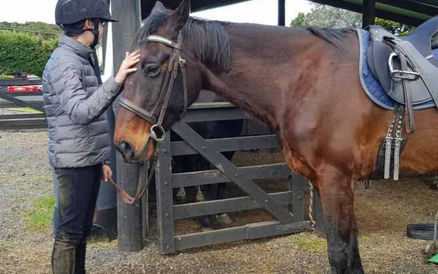 Silver Fern Riding Stables, Waiuku, New Zealand