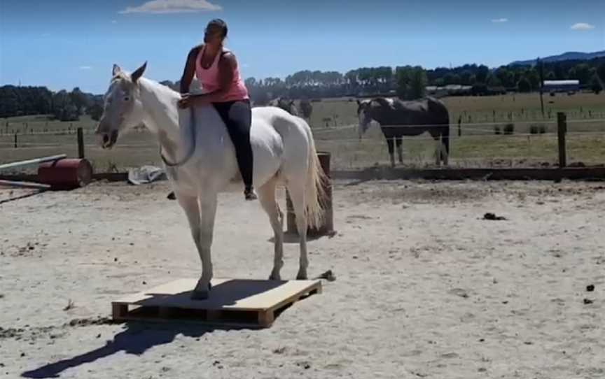 TBL Equestrian Te Aroha, Te Aroha, New Zealand