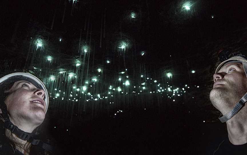 The Charleston Glowworm Cave Tour, Charleston, New Zealand