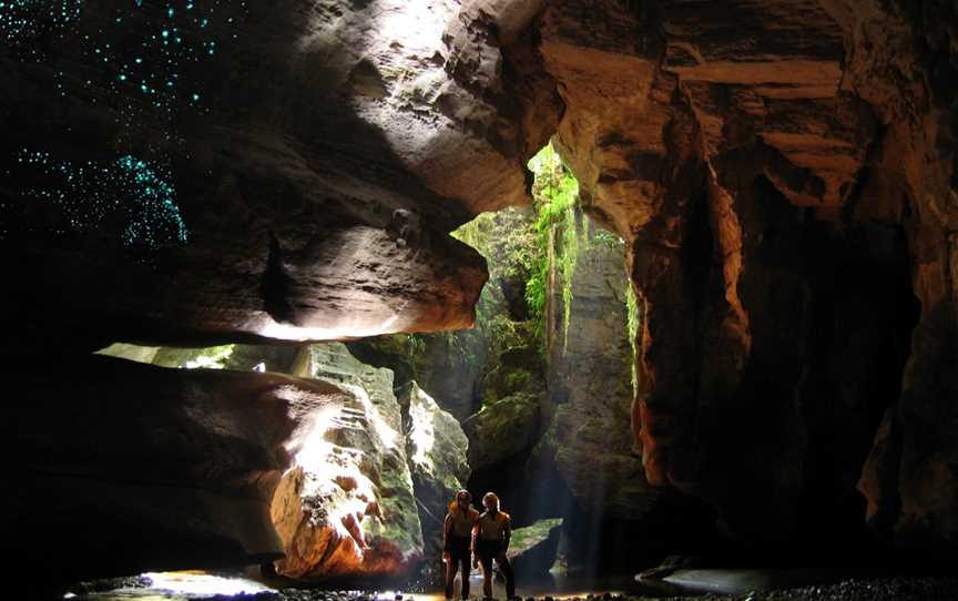 The Charleston Glowworm Cave Tour, Charleston, New Zealand